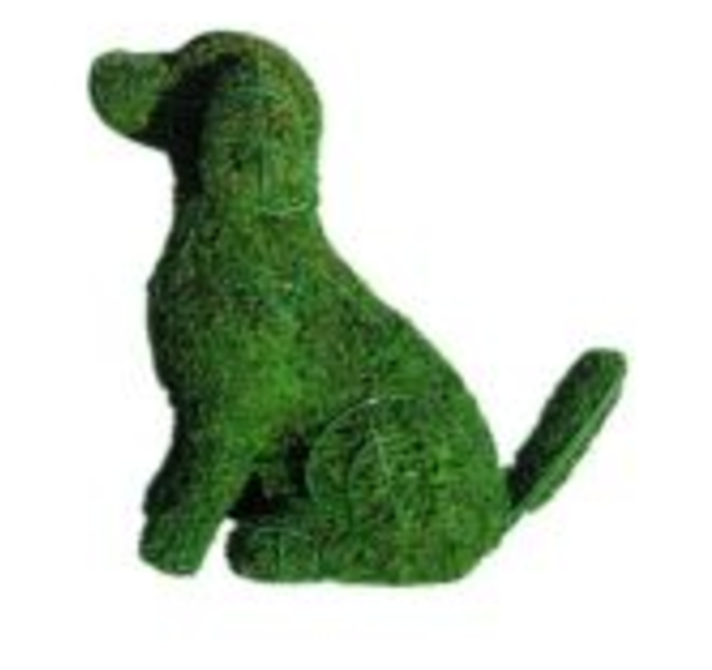 Dog Frame Topiary with Moss 36 inches tall